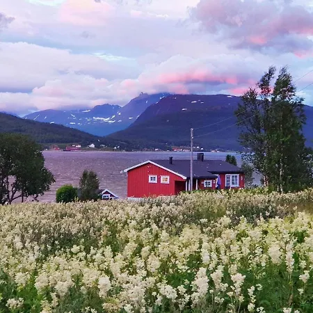 7 Person In * Rossfjordstraumen